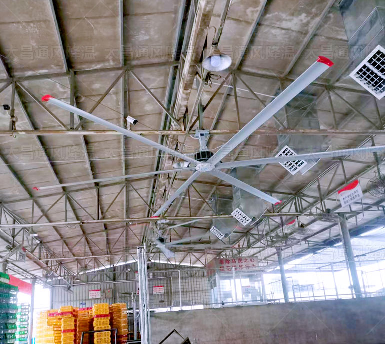 龍舟雨季,潤(rùn)東方永磁工業(yè)大風(fēng)扇幫助車(chē)間做好通風(fēng)除濕
