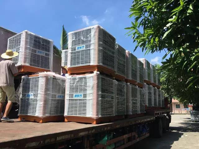 工廠車間快速降溫方法，你知道嗎？