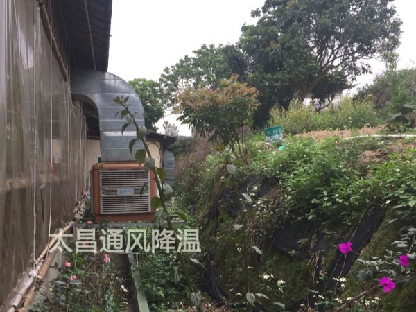 餐廳太熱？環(huán)?？照{(diào)為你送清風(fēng)